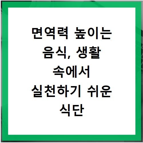 면역력 높이는 음식, 생활 속에서 실천하기 쉬운 식단 관리법